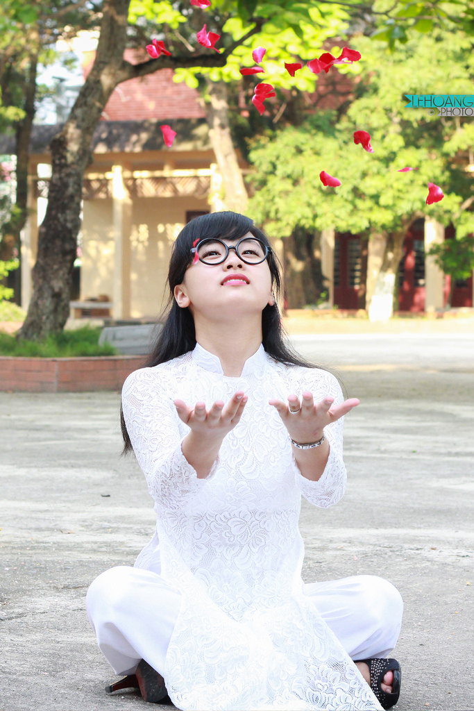 家在洹上电视剧免费